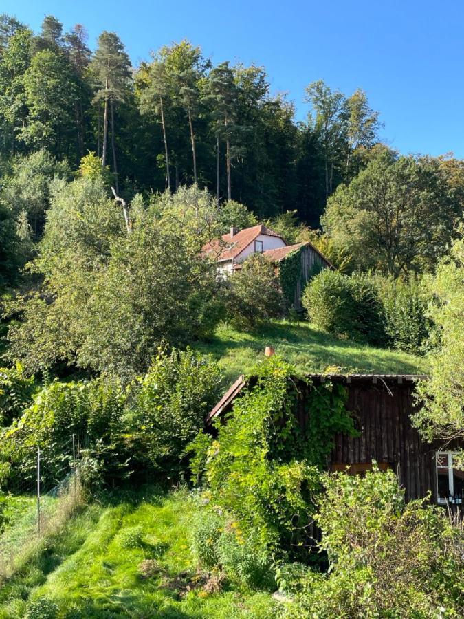 Mon Refuge En Vasgovie Διαμέρισμα Meisenthal Εξωτερικό φωτογραφία
