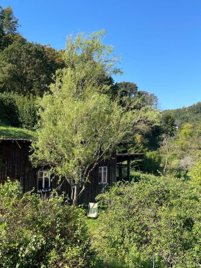 Mon Refuge En Vasgovie Διαμέρισμα Meisenthal Εξωτερικό φωτογραφία