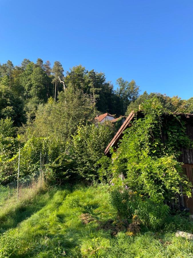 Mon Refuge En Vasgovie Διαμέρισμα Meisenthal Εξωτερικό φωτογραφία